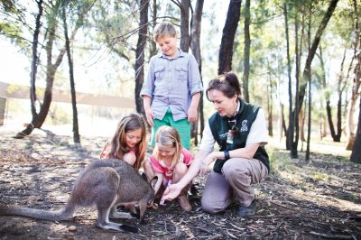 Family-Friendly Places to Interact with Australian Wildlife
