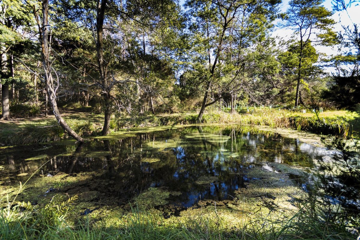 winter wellness tasmania hot springs