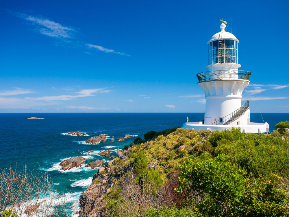 sugarloaf point seal rocks