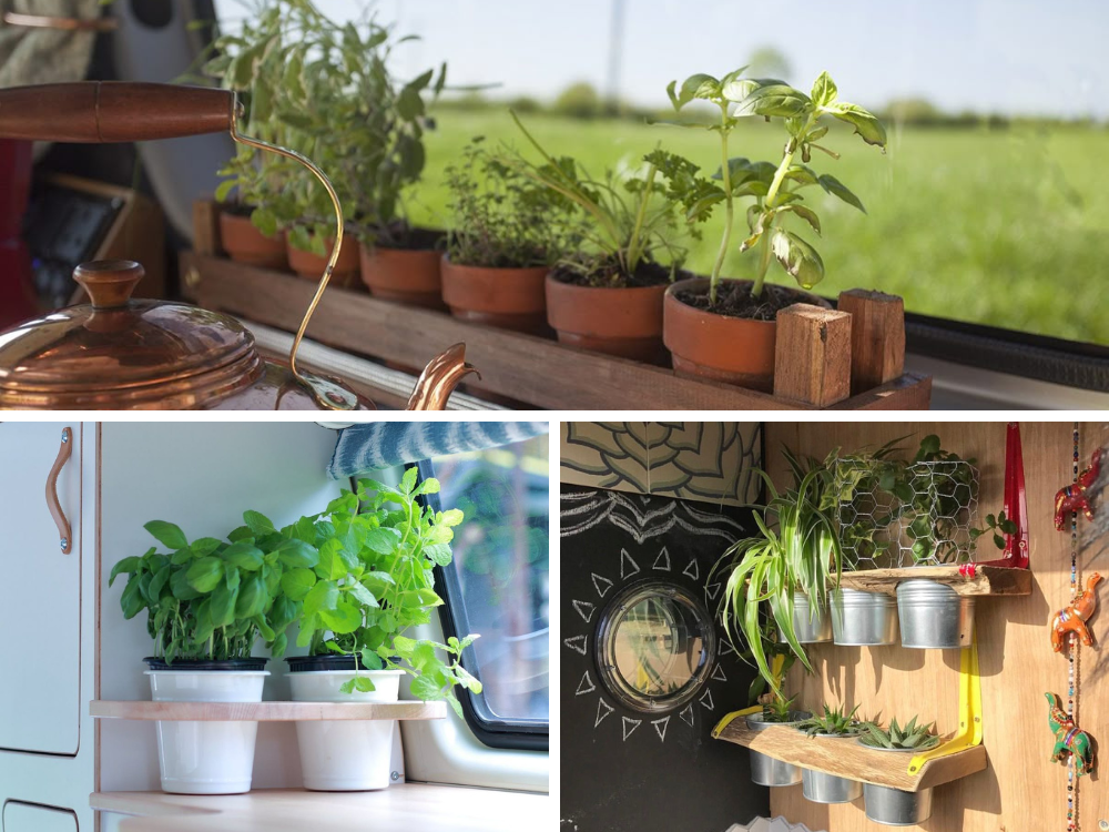 spring caravans plants gardening