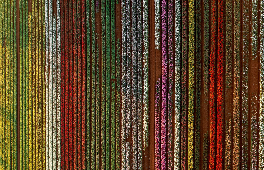 spring in tasmania