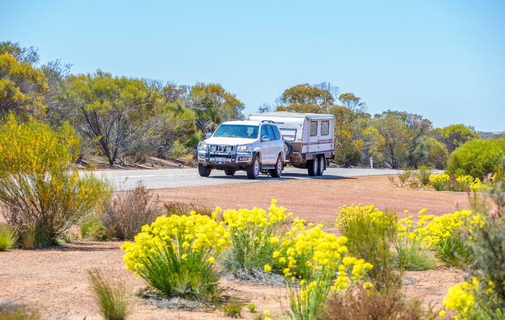 spring in western australia