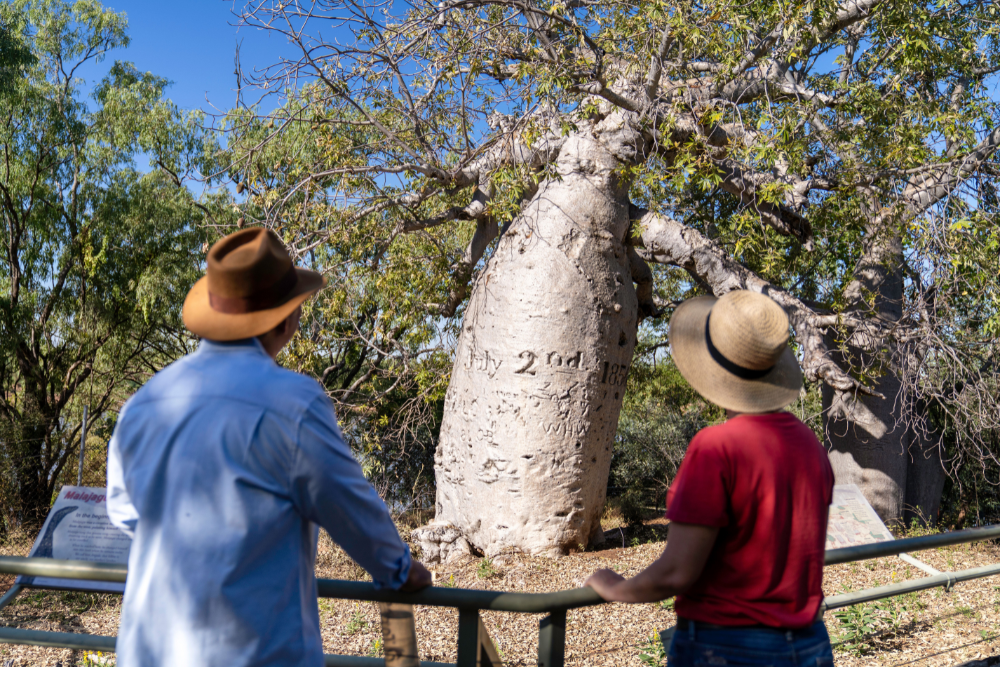 Judbarra / Gregory National Park NT