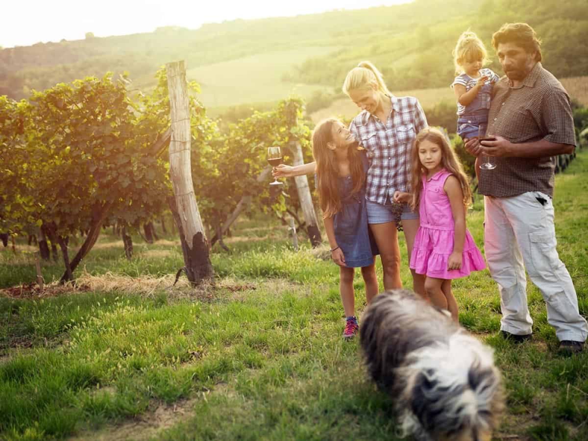 pet-friendly travel