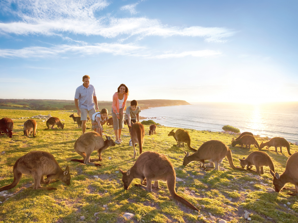 bucketlist must see destinations in australia
