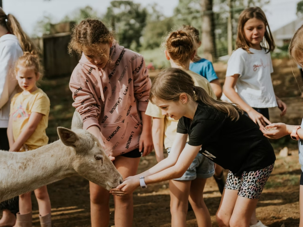 family friendly holiday parks