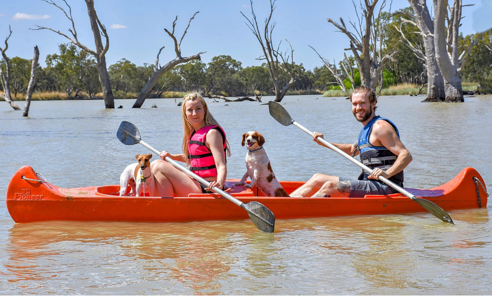 kingston on murray caravan park