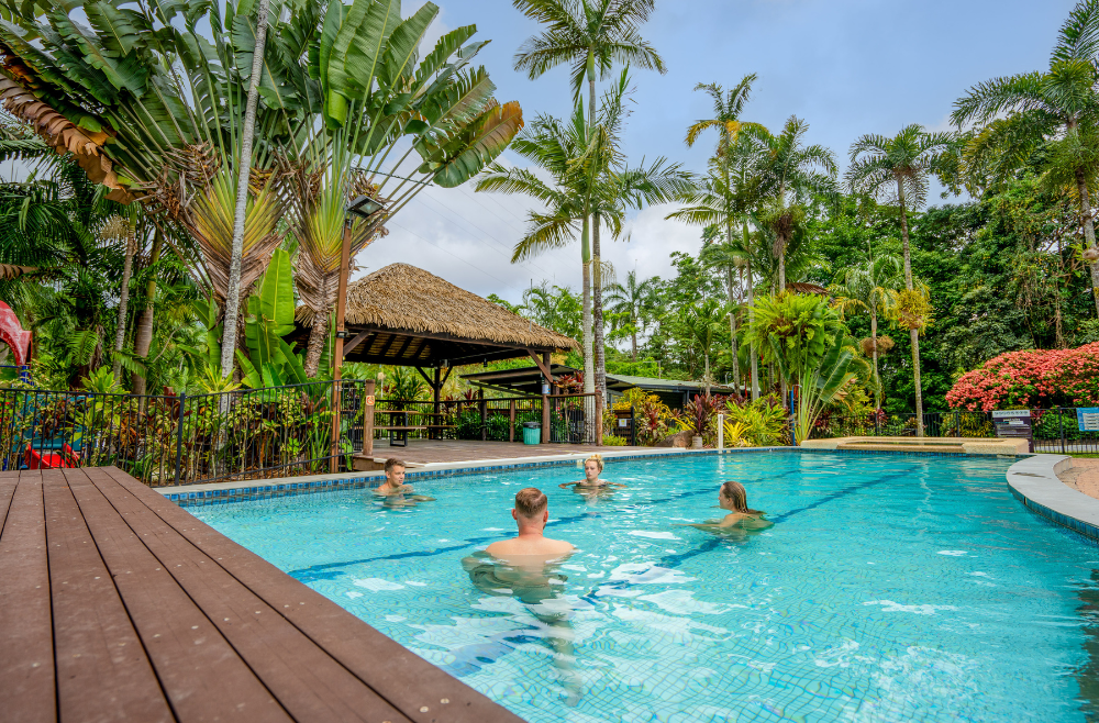 tropical north 