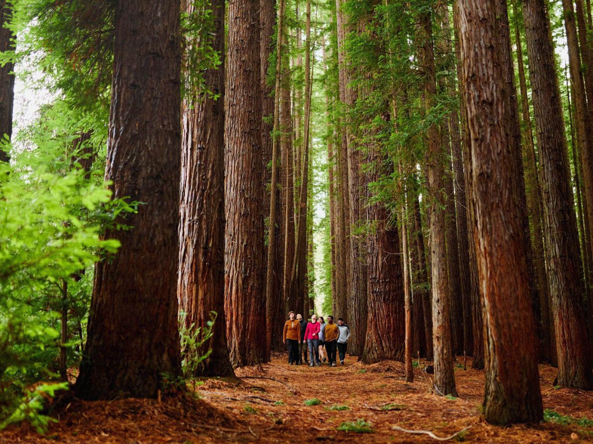 road trip the east coast with hampshire holidays