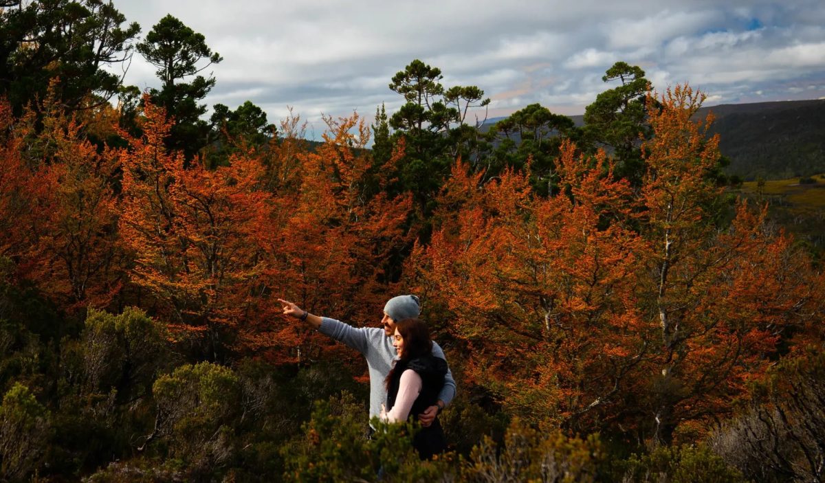 autumn travel in tasmania