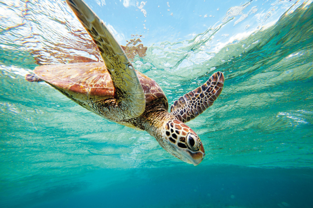 autumn winter road trips australia