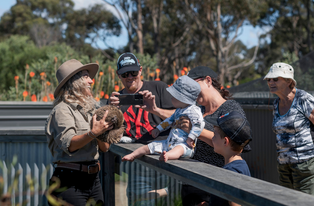 free and affordable family activities