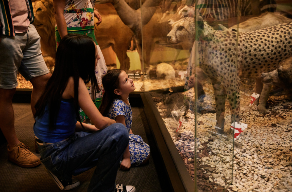 Fun, Free and Affordable Family Activities in South Australia