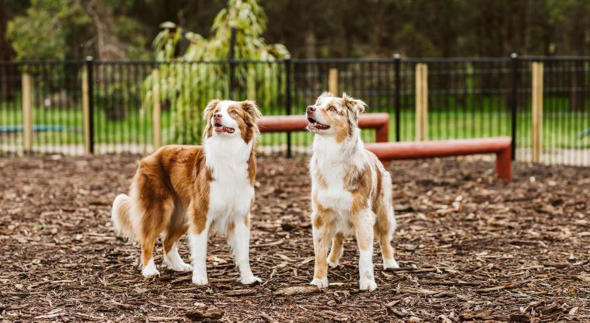 wa western australia holiday parks