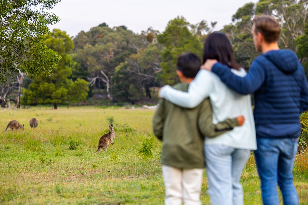 victoria holiday parks