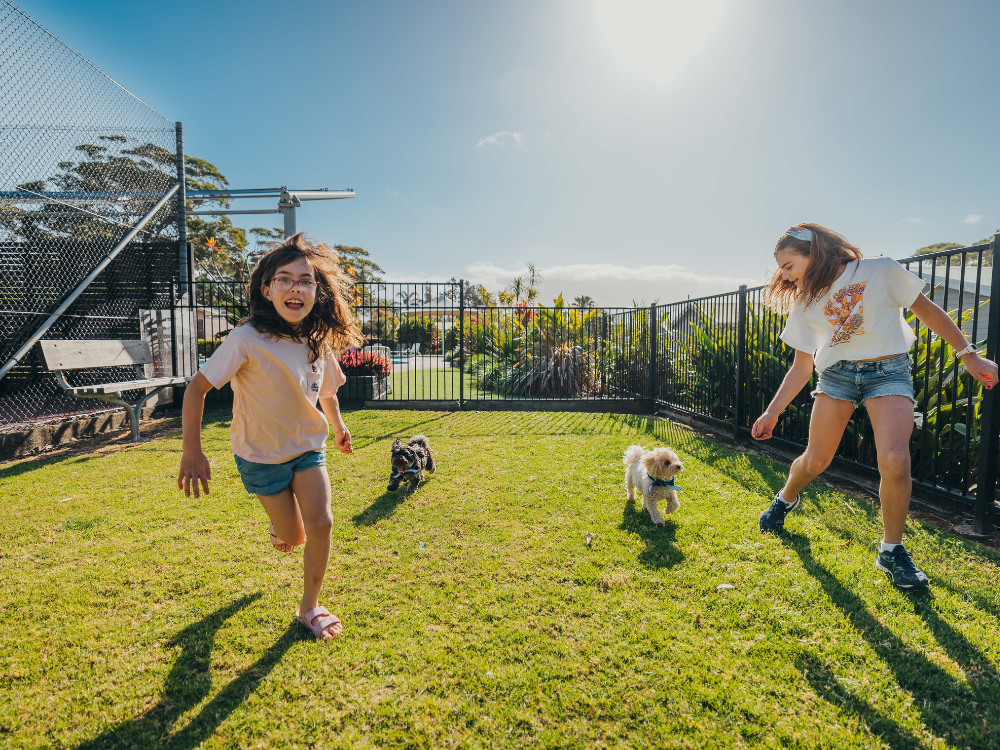 pet friendly accommodation nsw