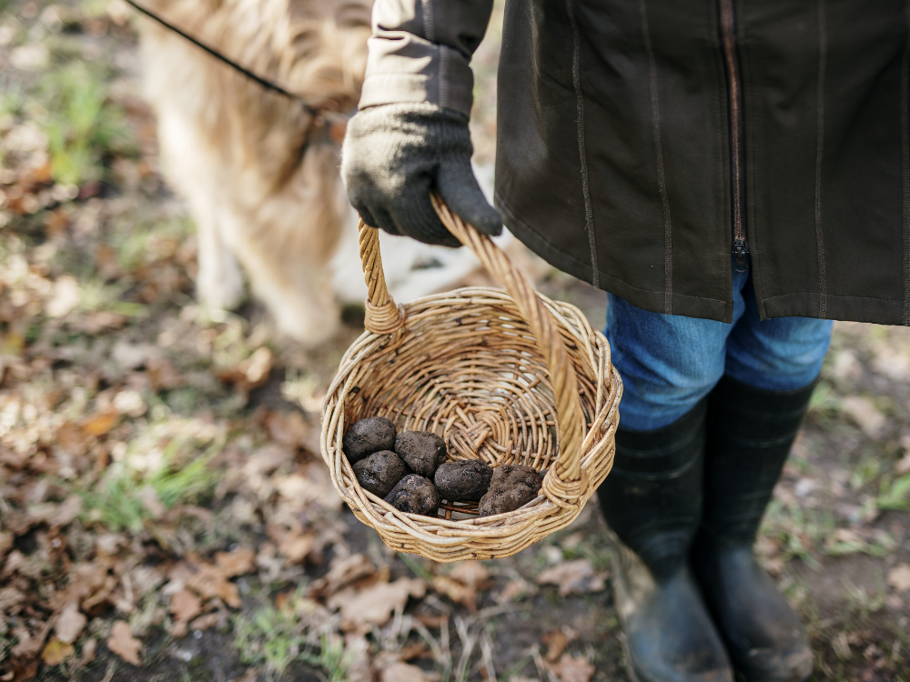 unique travel experiences australia