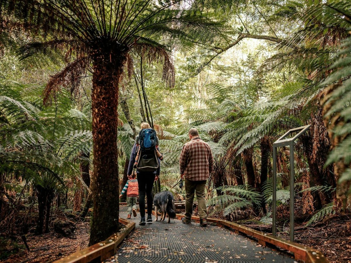 hiking VIC