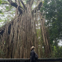 Atherton Tablelands