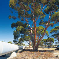 Golden Pipeline Heritage Trail wa
