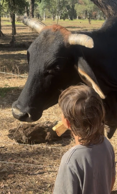 big lap adventures australia