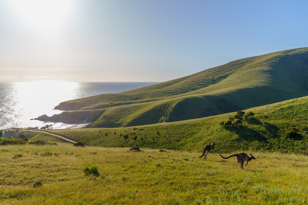 hikes in south australia