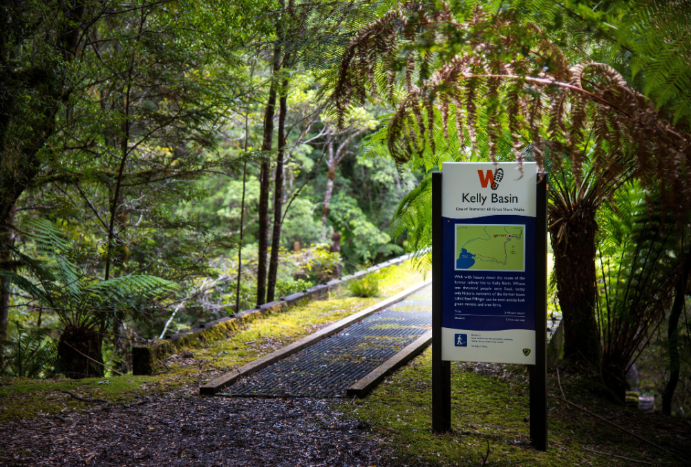 hiking tas