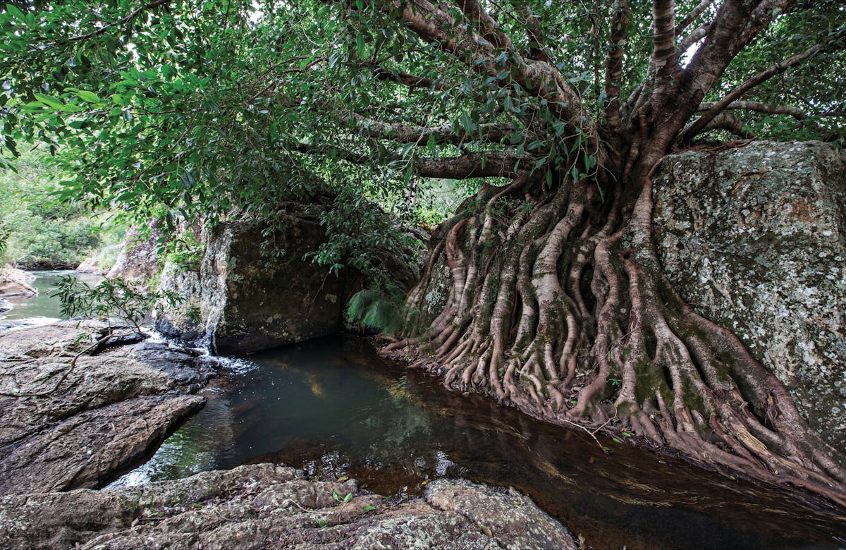 hidden hikes around queensland