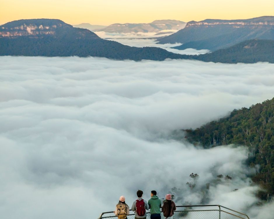 new south wales road trip