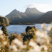 tasmania spring road trips