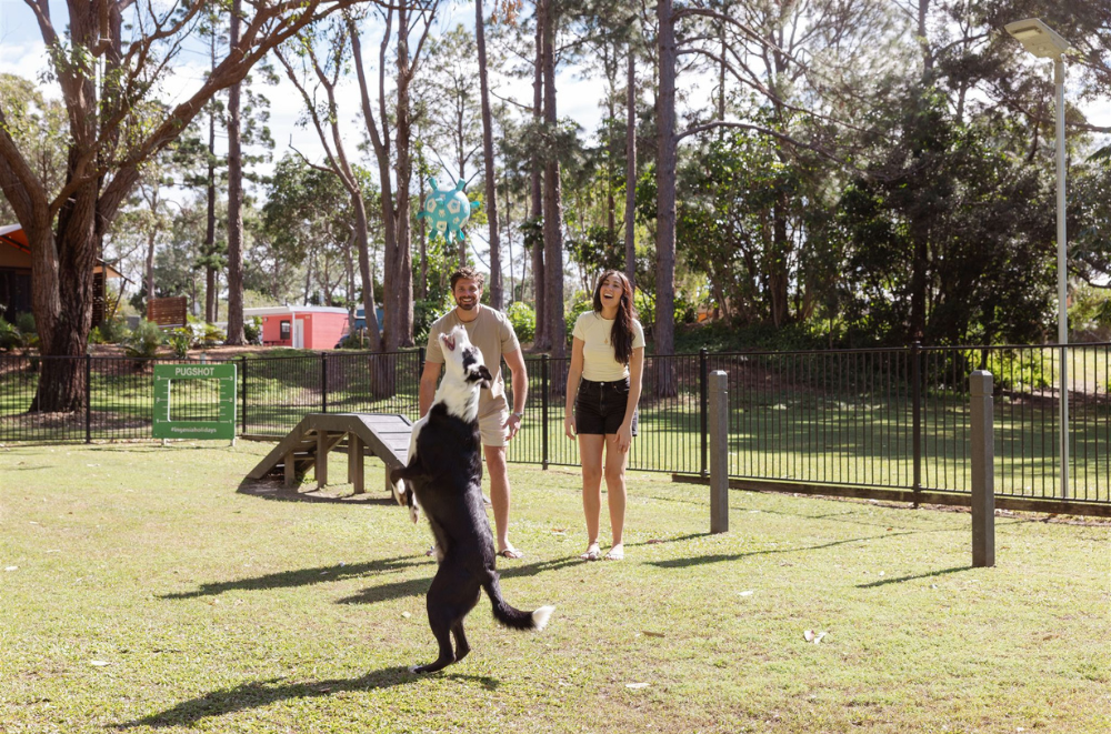 ingenia holiday parks pet friendly