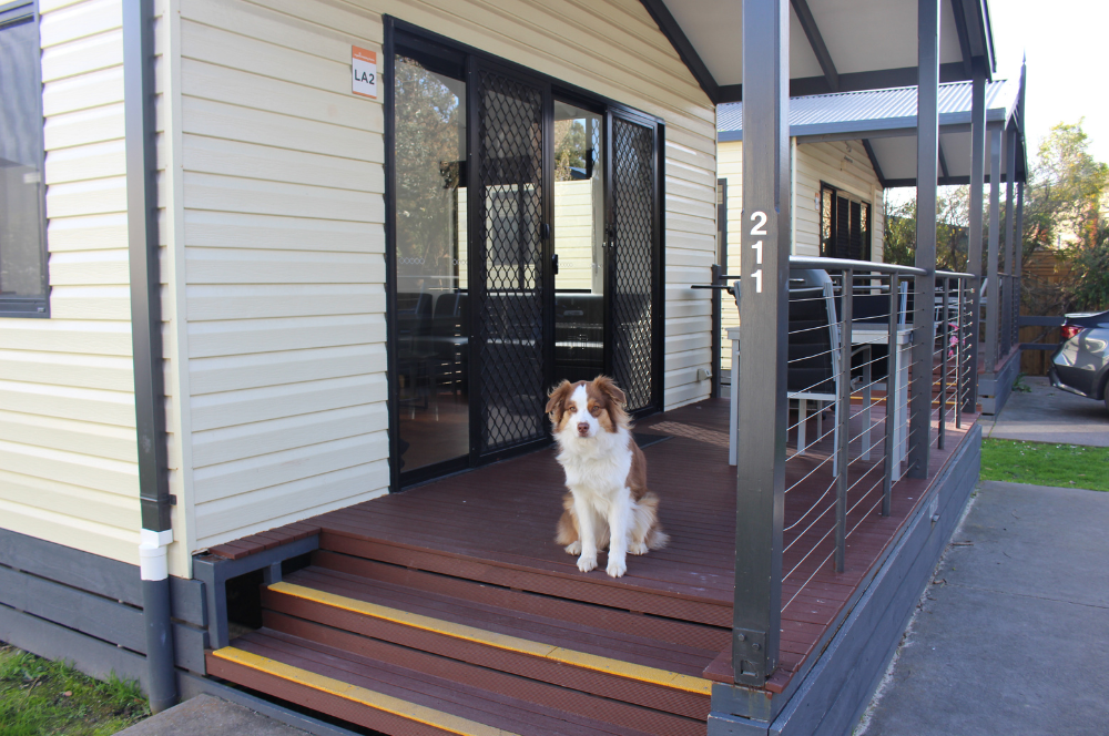 ingenia holiday parks pet friendly