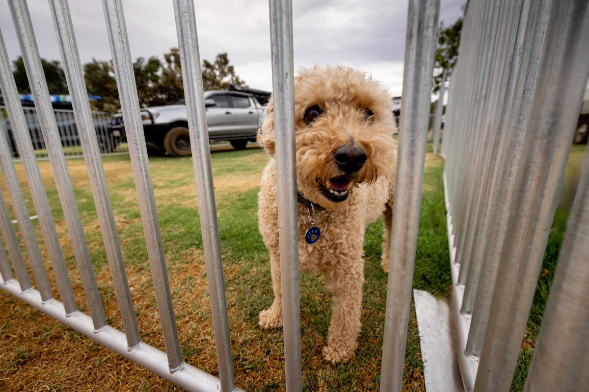BIG4 Dunsborough Southern Stars Holiday Park.