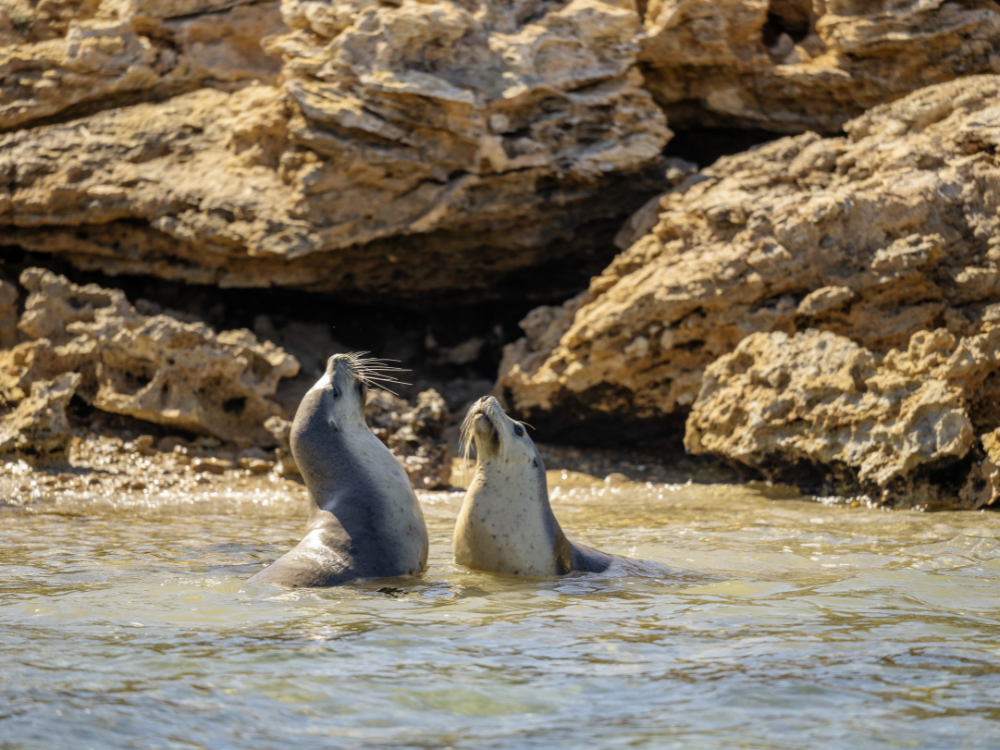 spring wildlife school holidays