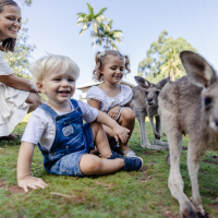 spring wildlife school holidays