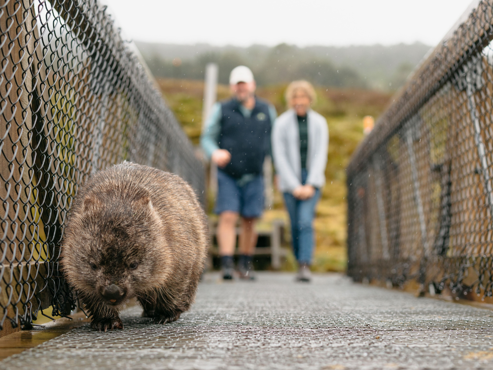 spring wildlife school holidays