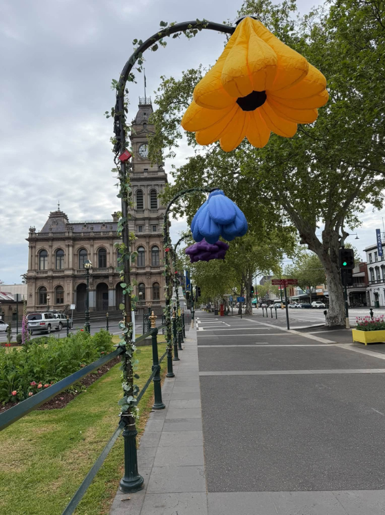 bendigo