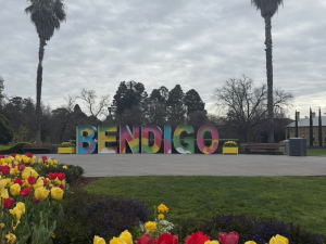 bendigo