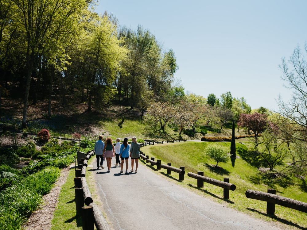 adelaide hills
